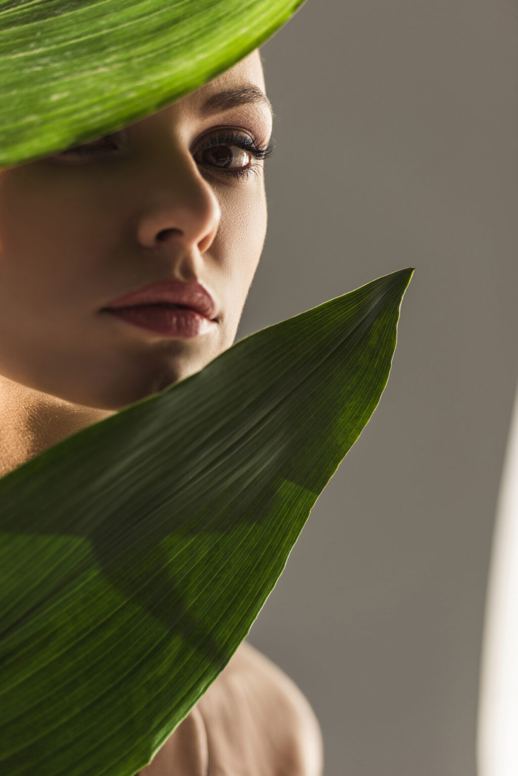 attractive girl with green leaves, isolated on grey
